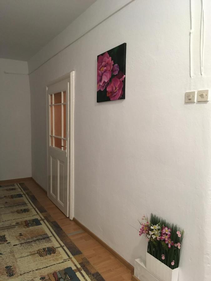 House Centrul Istoric Ll Apartment Sibiu Bagian luar foto